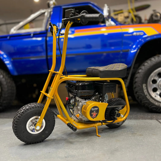 🔥🔥 Hustler Mini Bike